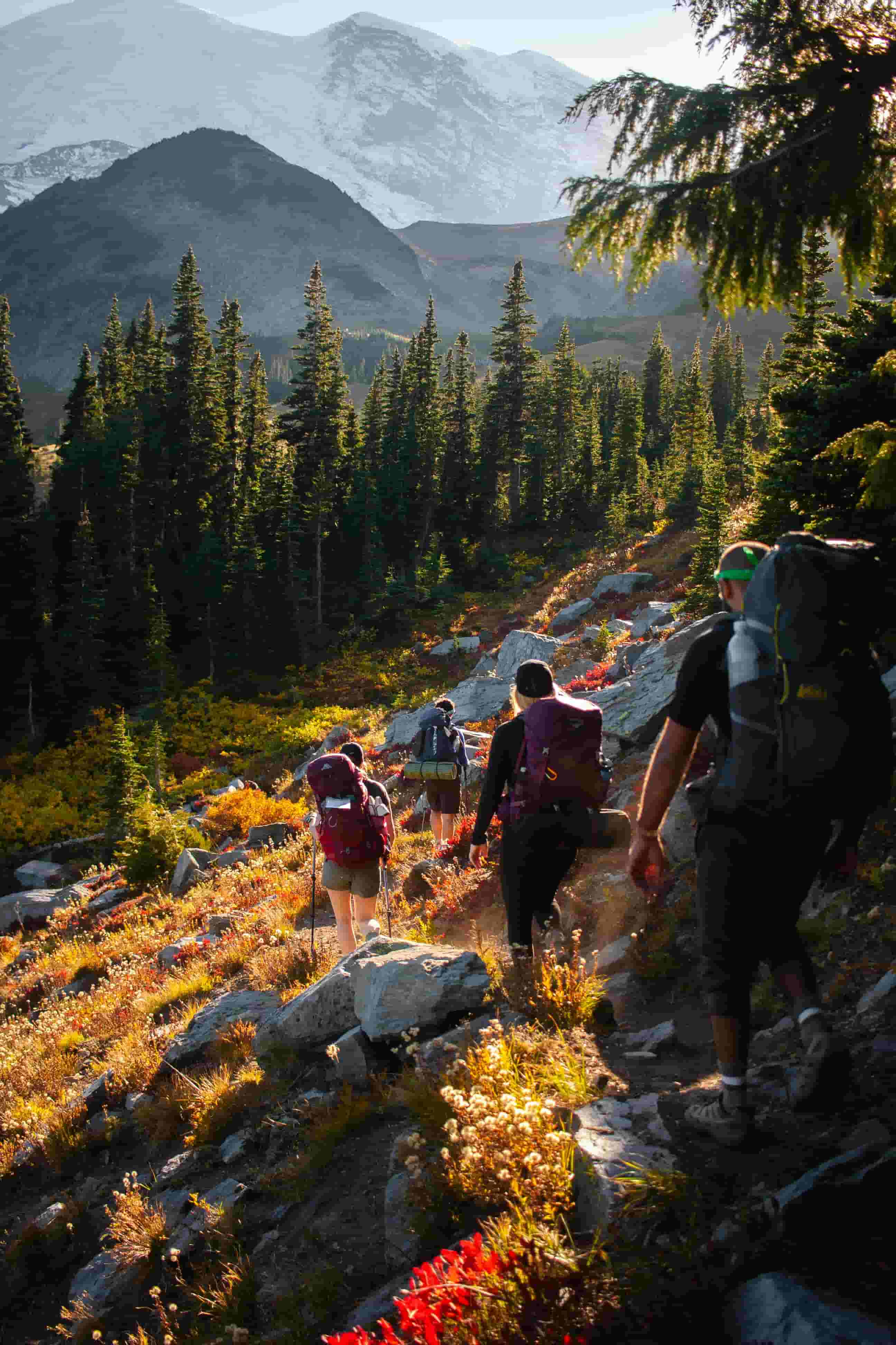 A photo of our team on a hike